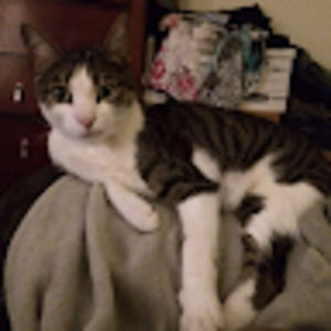 Meet your Posher, Andrew